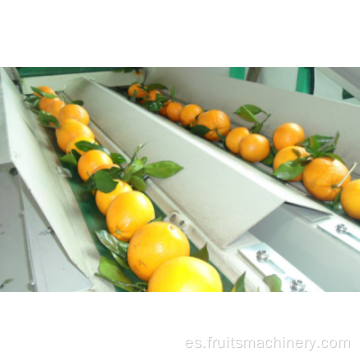 Máquina de clasificación de la máquina de clasificación de frutas electrónicas
